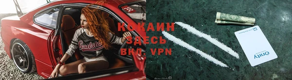 трава Арсеньев