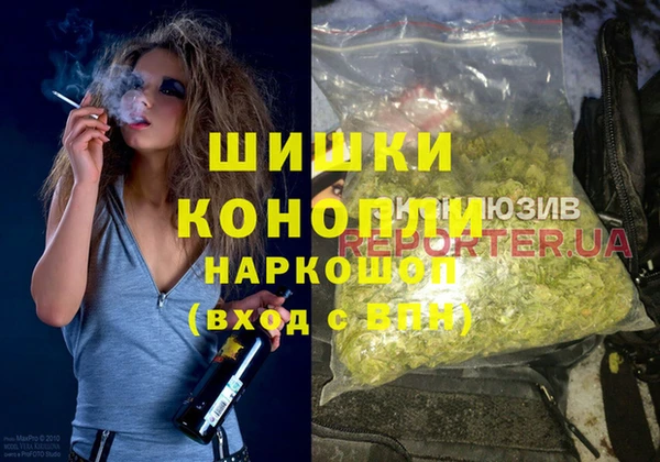 spice Пестово