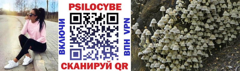Галлюциногенные грибы MAGIC MUSHROOMS  Багратионовск 
